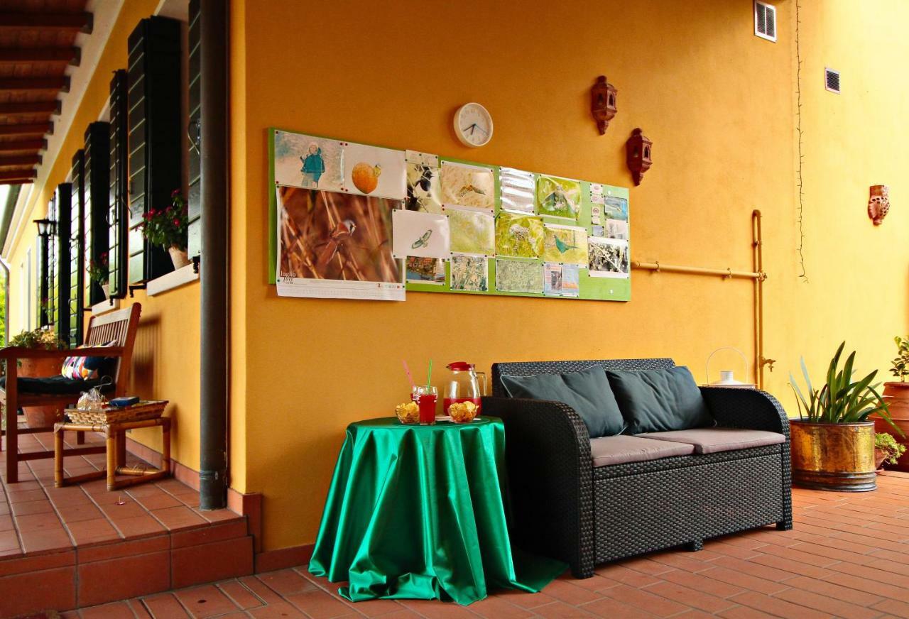 Ca' Leone - Regina Vittoria - Apartment With Pool Mira Eksteriør billede